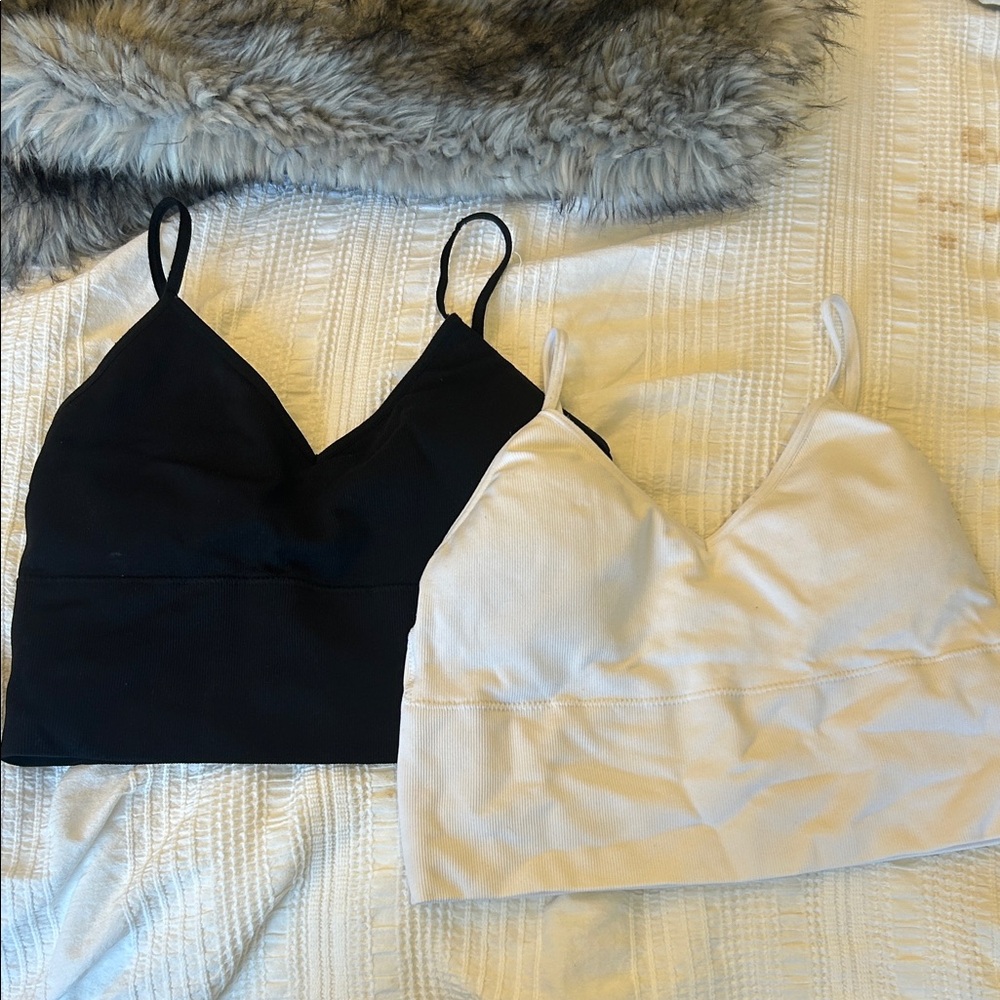 Dynamite Black and Cream Crop Tops